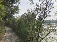 -翠湖国家城市湿地公园