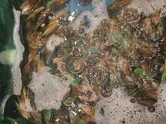 -初色海鲜自助(万丰路店)