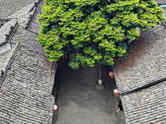 -中天楼