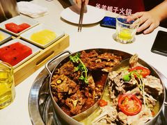 -浩爷羊蝎子火锅(望京店)