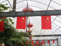 -武汉世外桃源农庄