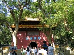 -普陀山风景名胜区-法雨禅寺