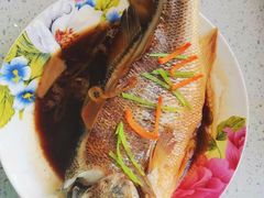 -鲸励母婴月嫂(望京店)