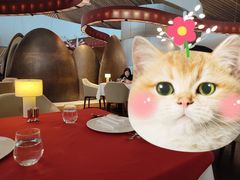 -国家大剧院西餐厅