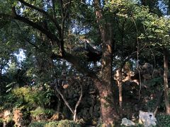 -绮园景区