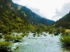 -九寨沟-树正沟