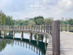 -眉山湿地公园(东坡区)