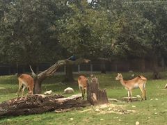 -西安秦岭野生动物园