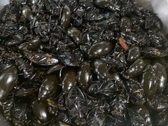 -阿鸟农庄(石壁店)