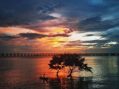 -宝安西湾红树林湿地公园