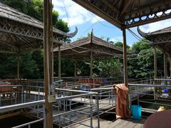 -水库河鲜村