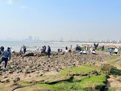 -巧克力渔家.小船海鲜胶东菜(万平口店)