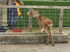 -前小桔亲子创意农场·草莓采摘·露营烧烤