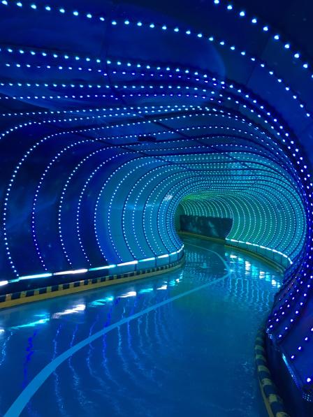 团了78元体验券星光隧道是亮点孩子最喜欢的还是淘气堡