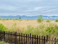 -野鸭湖国家湿地公园