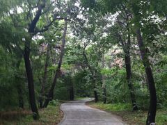 -沈阳市东陵公园