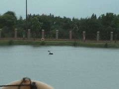 -明珠湖天鹅苑·农家菜馆