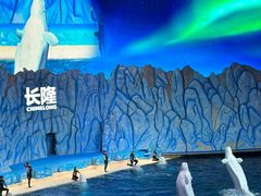 -珠海长隆海洋王国
