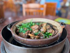 -华仔土鸡店(南洲分店)
