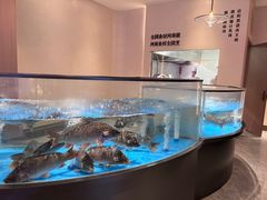 -阿庄新豫菜(航海东路店)