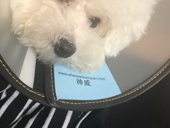 -宠福鑫动物医院(立水桥分院)