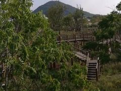 -田园东方蜜桃村的田野营地