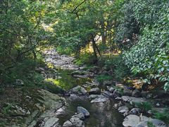 -石台牯牛降景区