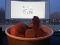 -枫花园汽车电影院(朝阳公园店)