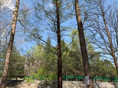-白水寺森林公园