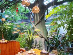 -扬之阿李菌汤火锅(1969店)