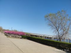 -永定河休闲森林公园