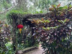 -海南热带野生动植物园