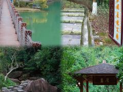 -广州白江湖森林公园