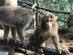 -普洱太阳河森林公园