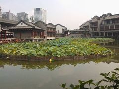 -龙潭水乡