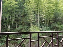 -众神白水涧景区