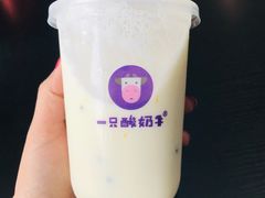 -老地方猫儿面(磁器口店)