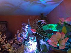 -巢爷老味(东方红店)