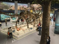 -国家自然博物馆