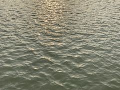 -映月湖中央公园