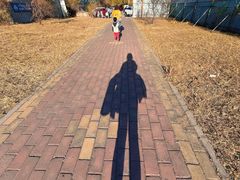 -白水寺森林公园