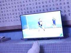 -北京赛佳动物医院