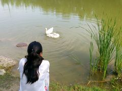 android_upload_pic-刘禹锡公园