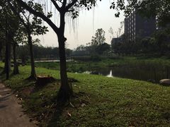 -北京师范大学(珠海校区)