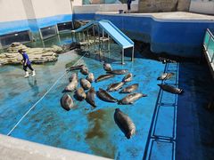 -秦皇岛乐岛海洋王国