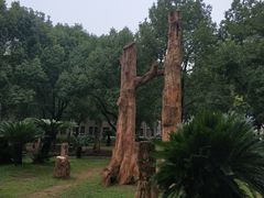 -中国地质大学逸夫博物馆