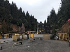 -武陵山森林公园