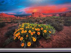 -罗红摄影艺术馆