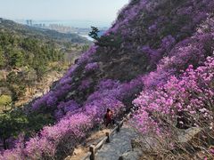 -青岛大珠山景区