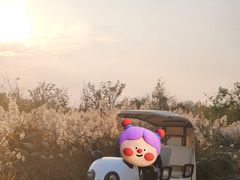 -天津东丽湖风景区